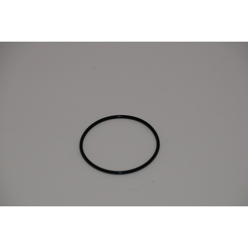 Johnson O-Ring (05-06-590)