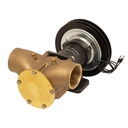 Johnson Impellerpumpe F9B-5600 (DWP376)