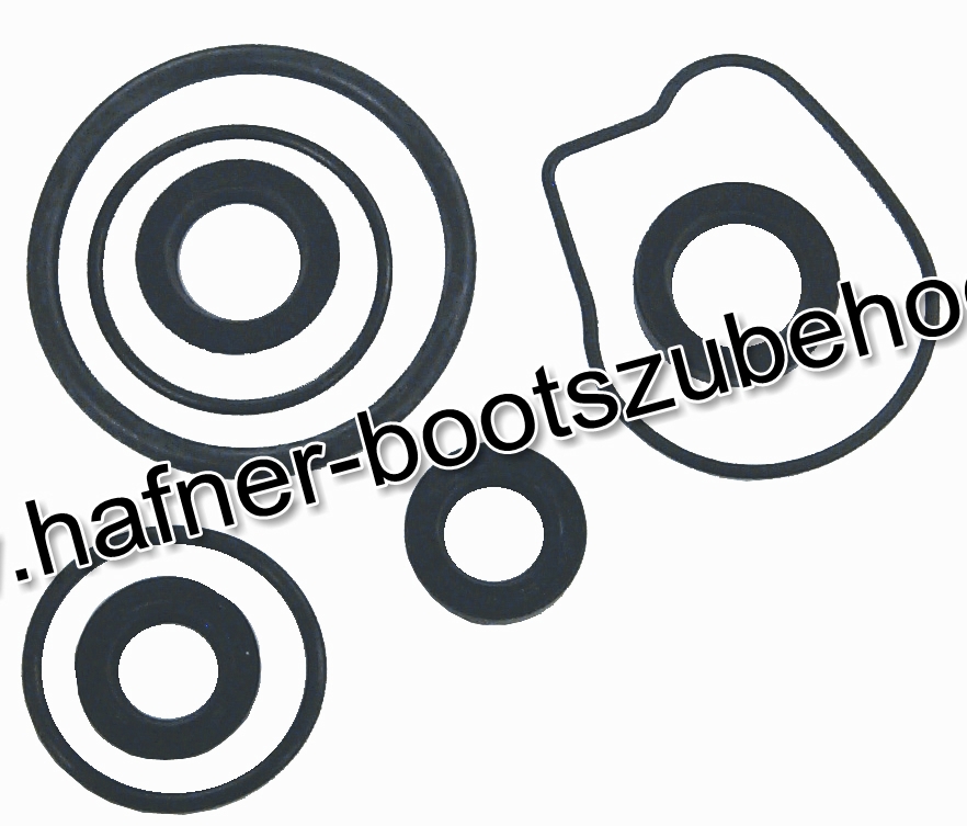Dichtungssatz für Unterwasserteil Ersatzteil Sierra Marine 18-8362-1