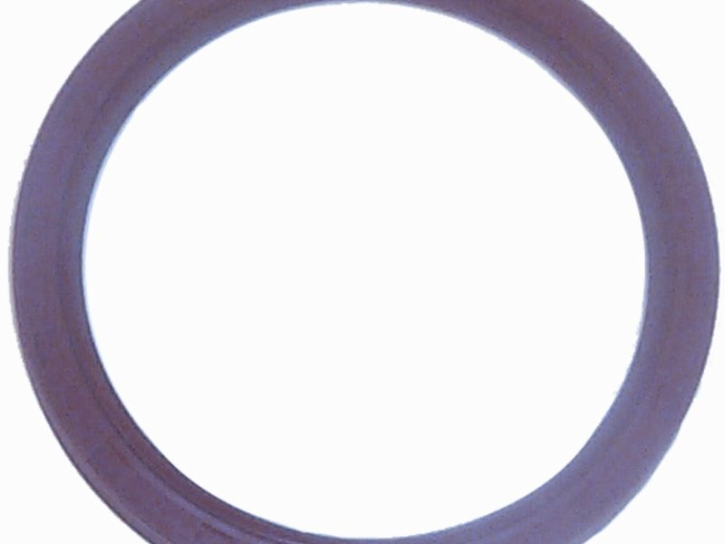 Simmerring einteilig für Kurbelwelle hinten Mercruiser 4/6&8 Ersatzteil Sierra Marine 18-0519