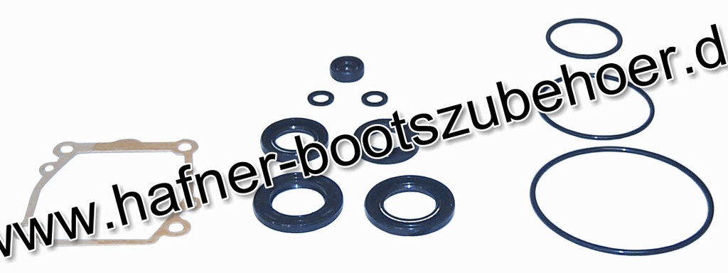 Dichtungssatz Unterwasserteil Ersatzteil Sierra Marine 18-8374