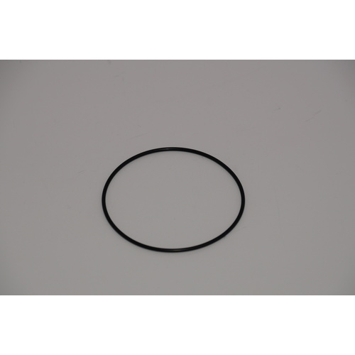 Johnson O-Ring (05-06-595)