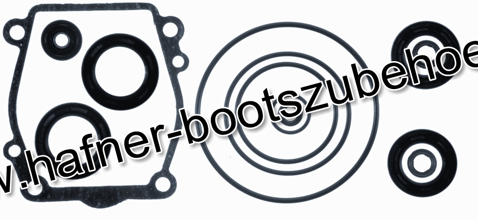 Lower Unit Dichtung Kit V6'S Suzuki 25700-87D00 Ersatzteil Sierra Marine 18-8335