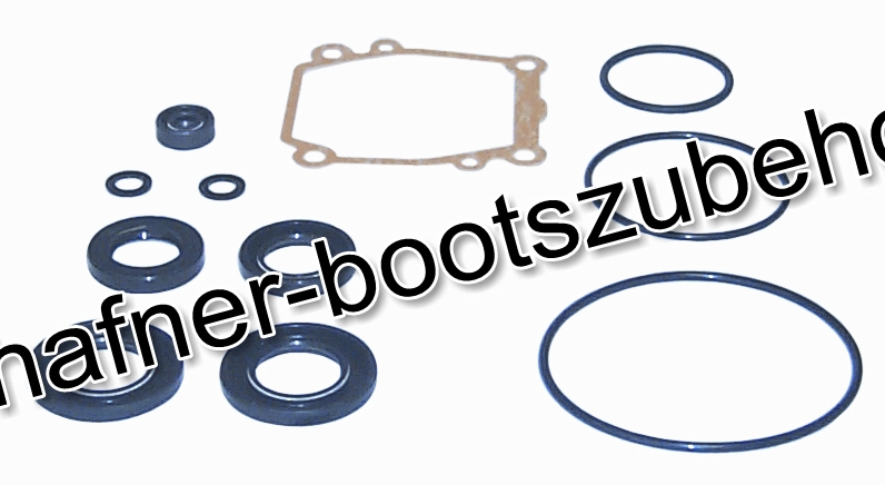 Dichtungssatz Unterwasserteil Ersatzteil Sierra Marine 18-8373