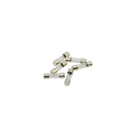 Ersatz Glassicherung 2 A / 20 mm 3er Set