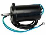Trim Motor