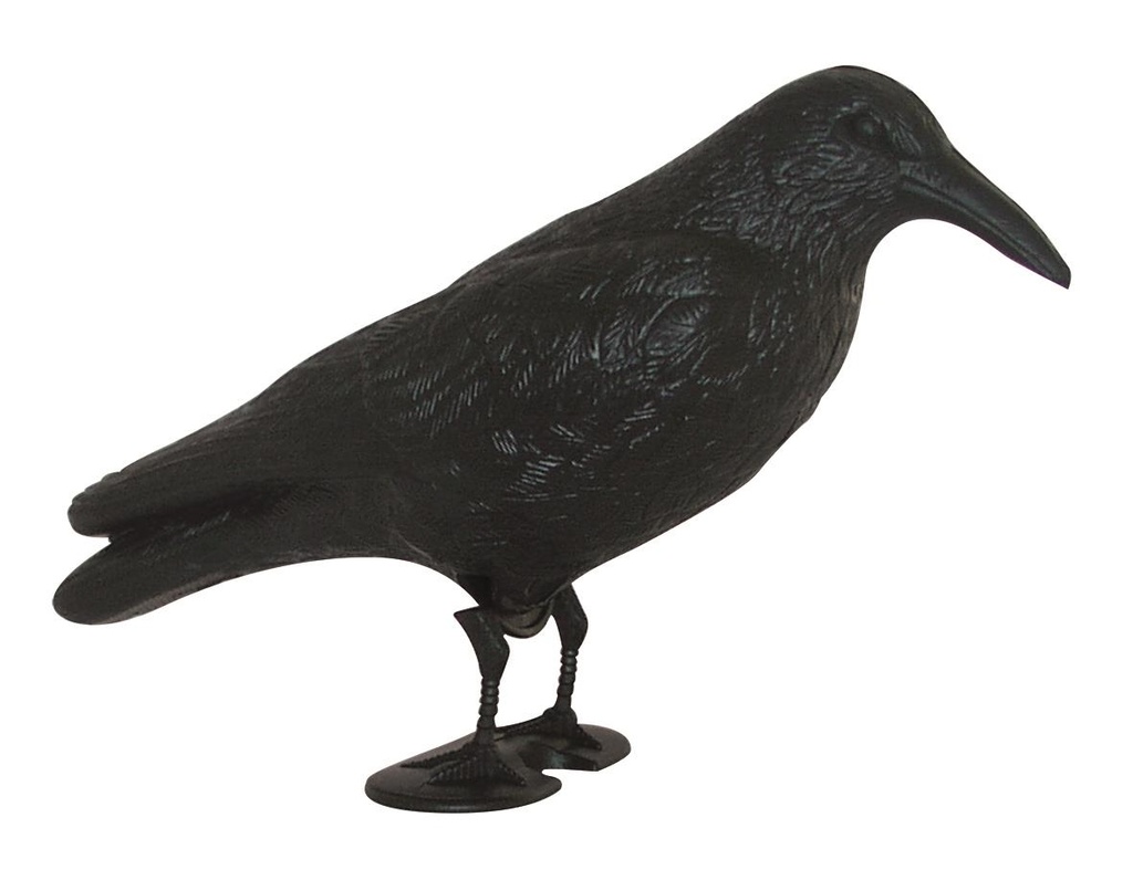 Krähe - Möwenschreck schwarz