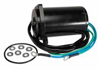 Trim Motor