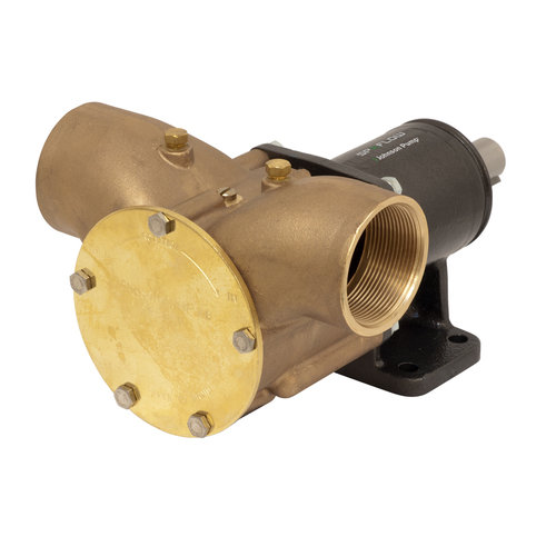 [BB10-13026-1] Johnson Impellerpumpe F9B-3000 2'