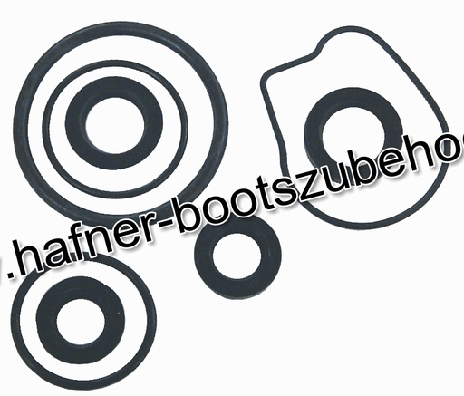 [18-8362-1] Dichtungssatz für Unterwasserteil Ersatzteil Sierra Marine 18-8362-1