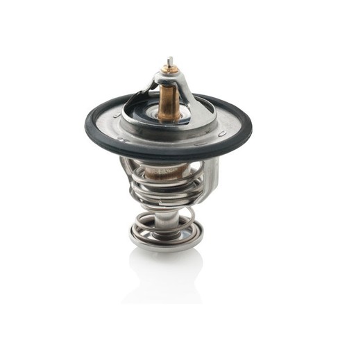 [BBSTM4976] Vetus Thermostat VH4.65/80