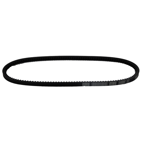 [BBSTM8778] Vetus Keilriemen für DT43-64