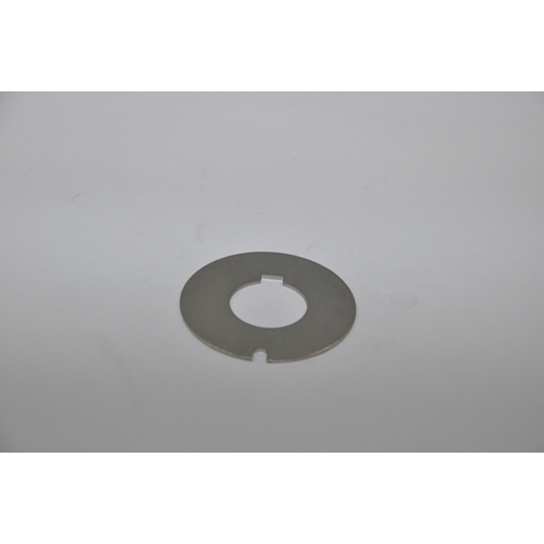 [BB01-42399-2] Johnson Schleissplatte Niro