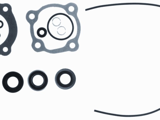 [18-2657] Dichtung Kit Johnson Evinrude 396352 Ersatzteil Sierra Marine 18-2657