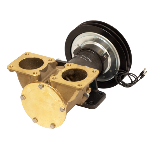 [BB10-13178-99] Johnson Impellerpumpe F9B-5600TSS