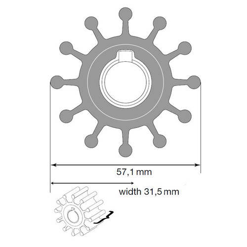 [BB09-801B] Johnson Impeller