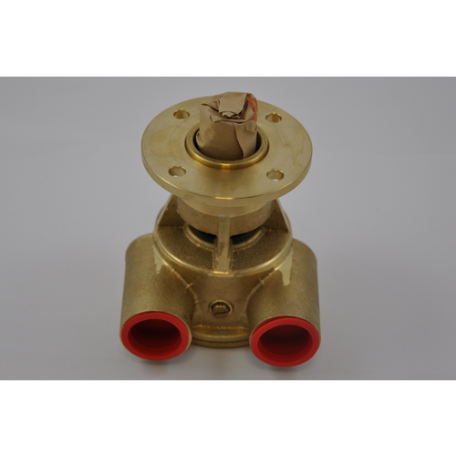 [BB10-24119-2] Johnson Impellerpumpe F5B-9002