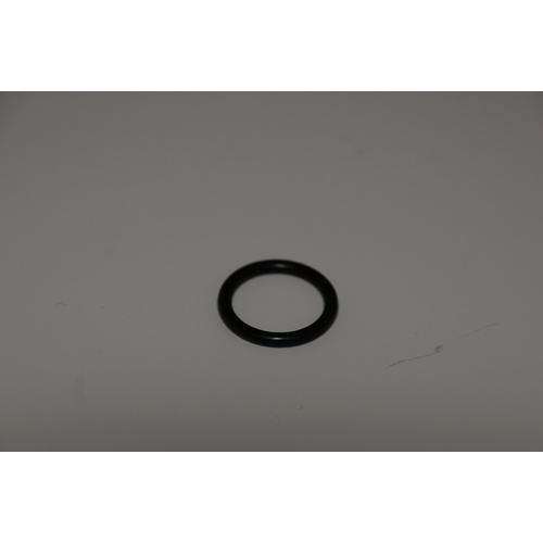 [BB0.2173.402] Johnson O-Ring (05-06-501)