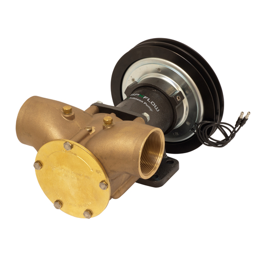 [BB10-13027-99] Johnson Impellerpumpe F9B-5600 (DWP376)